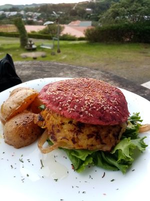 Vegan burger at Morphos in Monteverde