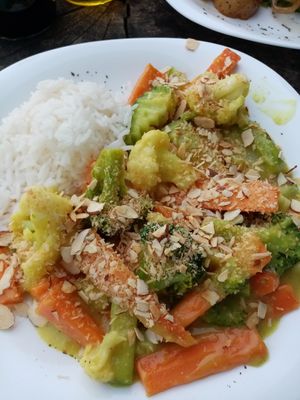 Vegan curry at Morphos in Monteverde