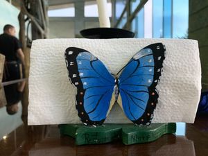 Morphos ambiance  at Morphos in Monteverde