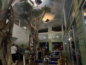 Inside! at Morphos in Monteverde