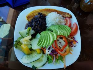 Casado at Morphos in Monteverde