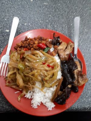 white rice, veggi4s, mock meat at Le Tian Vegetarian Stall in Kuala Lumpur