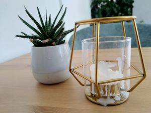 Kaktus at Hippie Chay in Munich