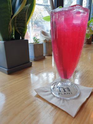 Kombucha at Plant Cafe & Kitchen - Itaewon in Seoul