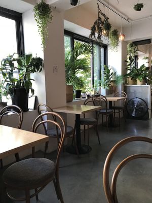 Cafe interior at Plant Cafe & Kitchen - Itaewon in Seoul