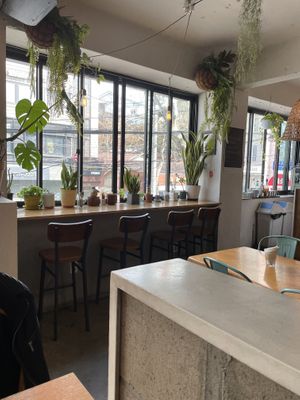 Interior   at Plant Cafe & Kitchen - Itaewon in Seoul