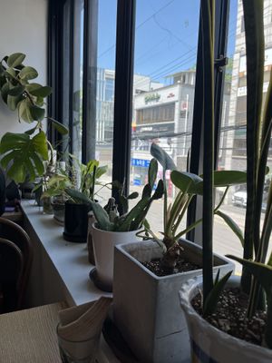 Views, it’s on the second floor so if you’re struggling to find it, look up!  at Plant Cafe & Kitchen - Itaewon in Seoul