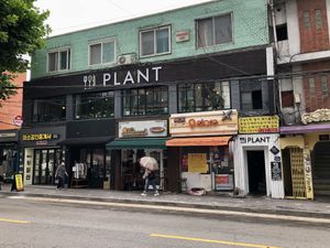   at Plant Cafe & Kitchen - Itaewon in Seoul