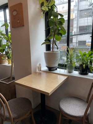 Interior  at Plant Cafe & Kitchen - Itaewon in Seoul