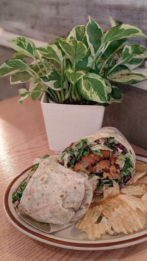 Tofu Caesar Wrap at Plant Cafe & Kitchen - Itaewon in Seoul