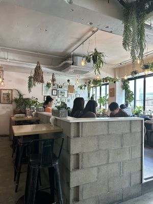   at Plant Cafe & Kitchen - Itaewon in Seoul