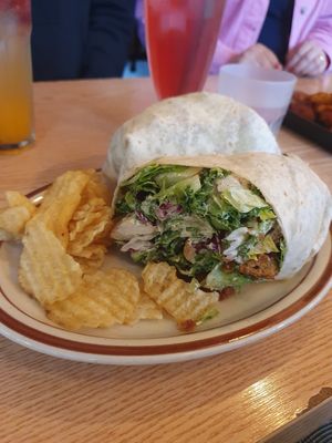 Caesar wrap as big as my head at Plant Cafe & Kitchen - Itaewon in Seoul