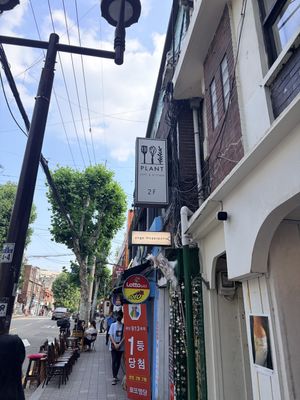   at Plant Cafe & Kitchen - Itaewon in Seoul