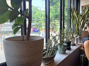   at Plant Cafe & Kitchen - Itaewon in Seoul
