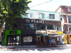 Outside at Plant Cafe & Kitchen - Itaewon in Seoul