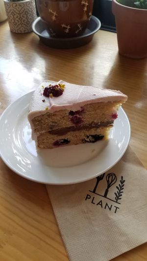 Vanilla berry cake at Plant Cafe & Kitchen - Itaewon in Seoul