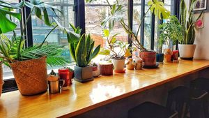 Perfect place to look outside while eating. But you normally sit there, when you visit the restaurant alone. at Plant Cafe & Kitchen - Itaewon in Seoul