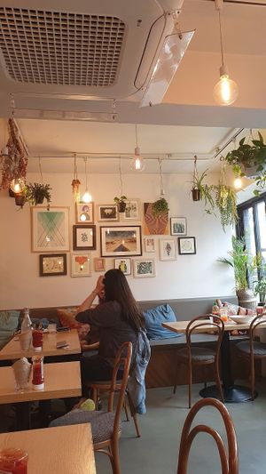 Plant at Plant Cafe & Kitchen - Itaewon in Seoul