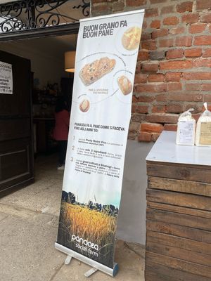   at Panacea in Nichelino