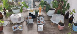 Grab award at The Sloth in Canggu