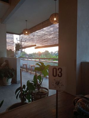 View from the rooftop seating area at The Sloth in Canggu