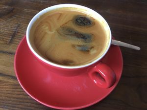 Rialto  at Rialto in Eyemouth