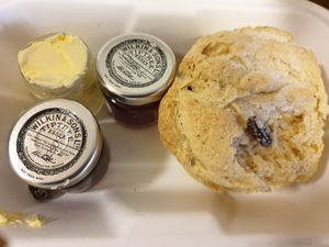 Vegan scone with jam at Rialto in Eyemouth