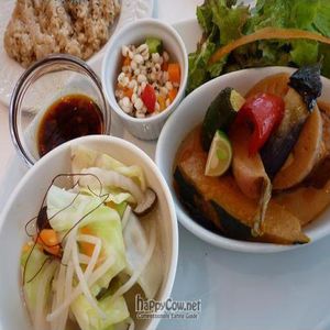 B Lunch: Gyoza, grilled tofu with vegetables, salad and brown rice. at Hanada Rosso in Tokyo