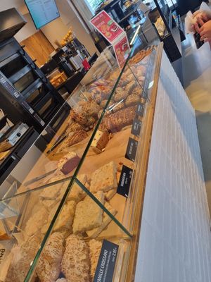  at Bäcker Göing - Falkenstr - Der Vegane Bär  in Hannover