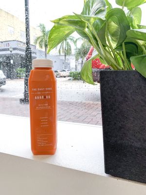 divine sunshine!  at The Daily Dose in Bradenton