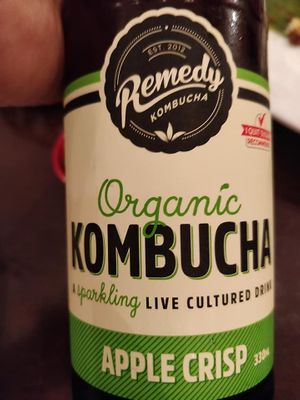 Kombucha - Raw, Organic, Vegan and unpasteurized and no sugar at Warung Ijo in Central Singapore