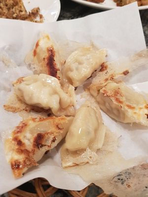 Fried gyoza at Warung Ijo in Central Singapore