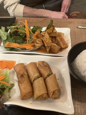 vegetable rolls and spicy fried tofu  at The ThongLor Thai Restaurant in San Francisco