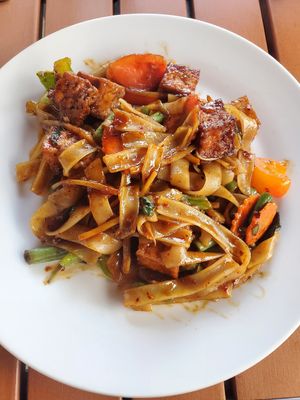 Drunken noodle with no egg and tofu at Pad Thai in St Louis