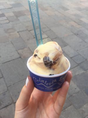 vegan cookies and cream ice cream at Gelateria S. Leonardo in Venice