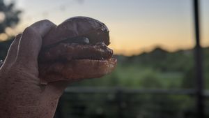 Nashville tricken at Grass VBQ Joint - Cloud Kitchen in Decatur