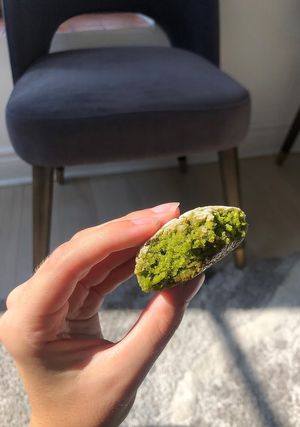 Matcha cookie at Leaves House || in Montreal