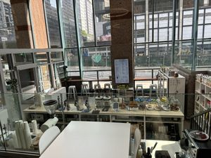   at Leaves House || in Montreal