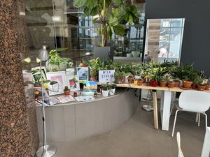   at Leaves House || in Montreal