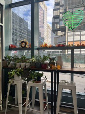 Fall decorations   at Leaves House || in Montreal