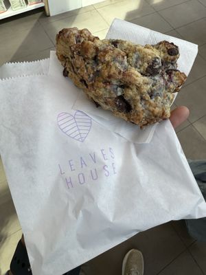 Scone  at Leaves House || in Montreal