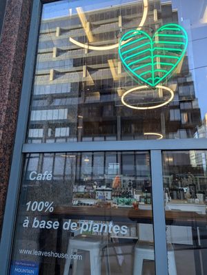 Outside at Leaves House || in Montreal