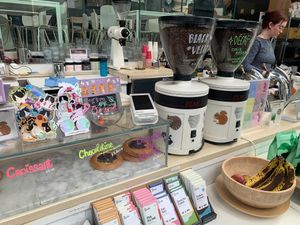  at Leaves House || in Montreal