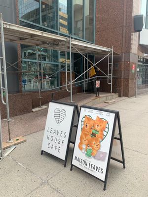 Store Front at Leaves House || in Montreal