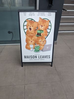  at Leaves House || in Montreal