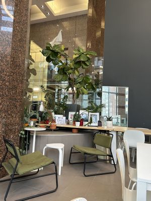   at Leaves House || in Montreal