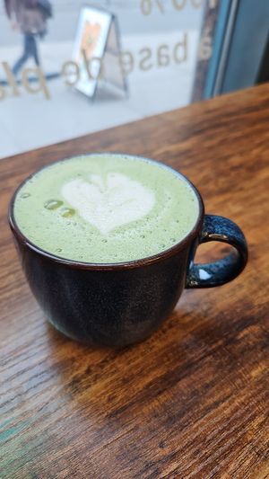  at Leaves House || in Montreal