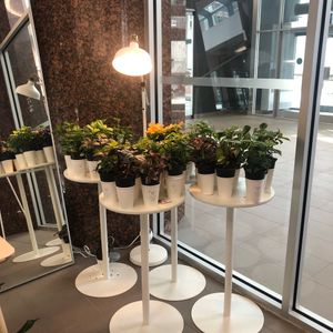 Leaves House (McGill) at Leaves House || in Montreal