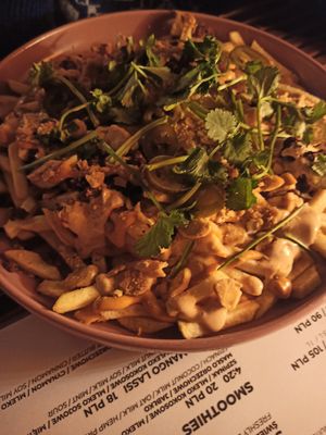 Plate of fries with cheese sauce and soy meat at Bracka 20 in Warsaw