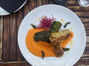 Dolma  at Urban & Veggie in Dubrovnik